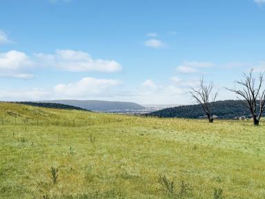 Residential Block For Sale - NSW - Young - 2594 - Elevated Lifestyle Block - 11.2 Acres with Views  (Image 2)