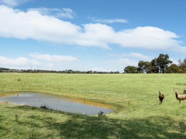 Residential Block For Sale - NSW - Young - 2594 - Elevated Lifestyle Block - 11.2 Acres with Views  (Image 2)