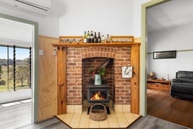 Livestock For Sale - NSW - Kyogle - 2474 - EDENVILLE HOMESTEAD  (Image 2)