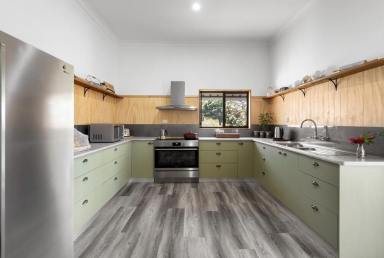 Livestock For Sale - NSW - Kyogle - 2474 - EDENVILLE HOMESTEAD  (Image 2)