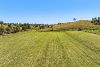 Livestock For Sale - NSW - Kyogle - 2474 - EDENVILLE HOMESTEAD (Image 2)