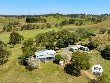 Livestock For Sale - NSW - Kyogle - 2474 - EDENVILLE HOMESTEAD (Image 2)