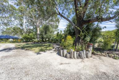 House For Sale - NSW - Lawrence - 2460 - QUIRKY LIFESTYLE HOLDING ON 3,988SQM – TINY HOME + EXISTING ACCOMMODATION  (Image 2)