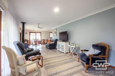 House For Sale - NSW - Glencoe - 2365 - Peaceful Country Living with Stunning Rural Views (Image 2)