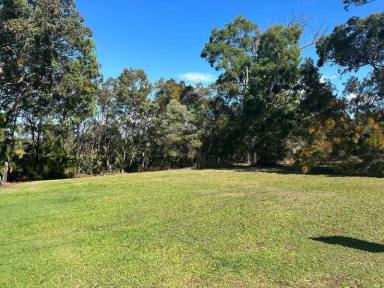 Residential Block For Sale - QLD - Macleay Island - 4184 - Huge 1007m2 Waterfront Block - Experience Tranquility and Community and build your Dream Island Home  (Image 2)