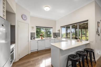 House For Sale - QLD - Maleny - 4552 - A Private Family Haven with Dual-Living/Income Flexibility  (Image 2)