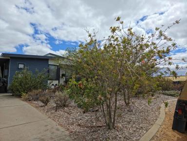 House For Sale - WA - Hopetoun - 6348 - This is where true living starts!  (Image 2)