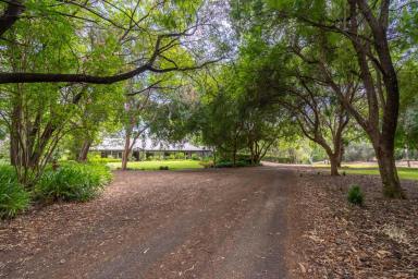 House For Sale - NSW - Moree - 2400 - Greenbah's Hidden Gem - Renovated, Private & Immaculate  (Image 2)