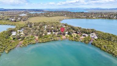 House For Sale - QLD - Macleay Island - 4184 - Absolute Waterfront Living – Launch Your Boat from Your Backyard (Image 2)