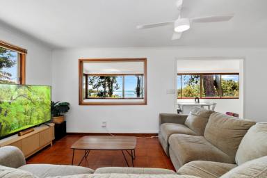 House For Sale - QLD - Macleay Island - 4184 - Absolute Waterfront Living – Launch Your Boat from Your Backyard  (Image 2)