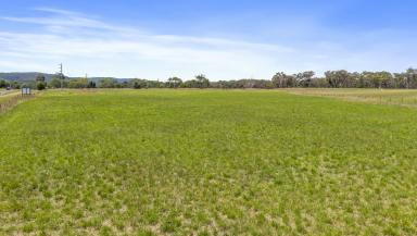 Residential Block For Sale - NSW - Portland - 2847 - Euronbella Estate – Premium Rural Lifestyle Blocks | Portland, NSW  (Image 2)