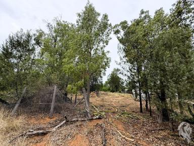 Residential Block Sold - NSW - Gwabegar - 2356 - VACANT BLOCK IN THE SAFEST STREET IN TOWN! (Image 2)