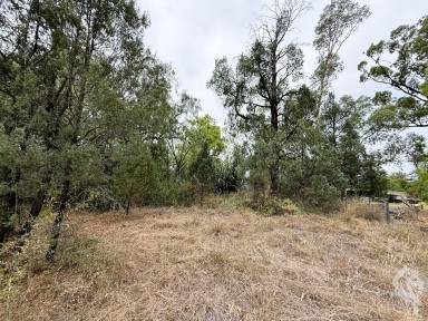 Residential Block For Sale - NSW - Gwabegar - 2356 - VACANT BLOCK IN THE SAFEST STREET IN TOWN!  (Image 2)