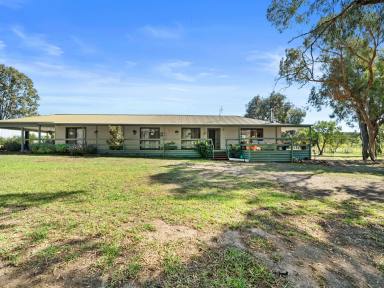 Acreage/Semi-rural For Sale - VIC - Tooborac - 3522 - Escape to Serenity at this Stunning 5-Bedroom Acreage in Tooborac  (Image 2)