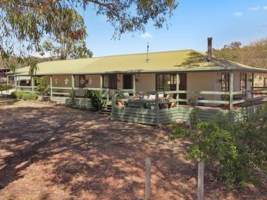 Acreage/Semi-rural For Sale - VIC - Tooborac - 3522 - Escape to Serenity at this Stunning 5-Bedroom Acreage in Tooborac  (Image 2)