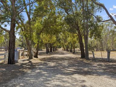 Acreage/Semi-rural For Sale - VIC - Tooborac - 3522 - Escape to Serenity at this Stunning 5-Bedroom Acreage in Tooborac  (Image 2)