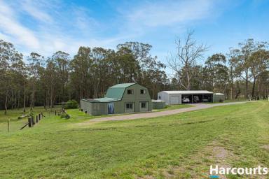 Acreage/Semi-rural For Sale - NSW - Paterson - 2421 - Escape to the Country - Peaceful Lifestyle Acreage on The Outskirts of Town  (Image 2)