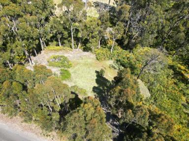 Residential Block For Sale - TAS - Tugrah - 7310 - Over 2 Acres of Peace and Possibility in Tightly Held Tugrah - Just Minutes from Devonport  (Image 2)