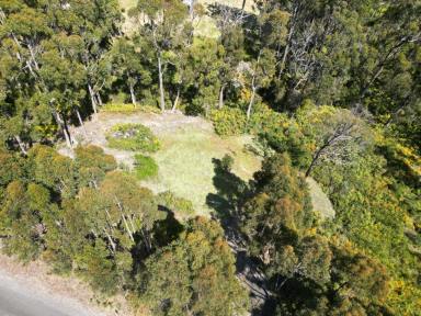 Residential Block For Sale - TAS - Tugrah - 7310 - Elevated Bushland Living on Over 2 Acres — Privacy and Premium Positioning Just Minutes from Devonport  (Image 2)