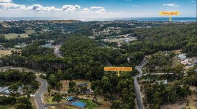 Residential Block For Sale - TAS - Tugrah - 7310 - Elevated Bushland Living on Over 2 Acres — Privacy and Premium Positioning Just Minutes from Devonport  (Image 2)