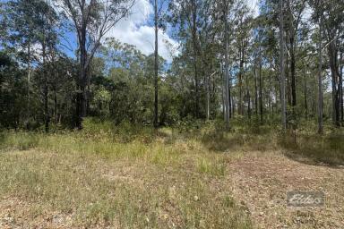 Residential Block For Sale - QLD - Bauple - 4650 - BLANK CANVAS, ENDLESS POSSIBILITIES  (Image 2)