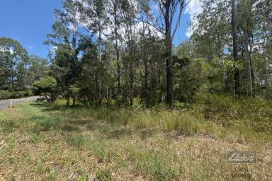 Residential Block For Sale - QLD - Bauple - 4650 - BLANK CANVAS, ENDLESS POSSIBILITIES  (Image 2)