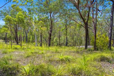 Residential Block For Sale - NSW - South Kempsey - 2440 - Where the Bush Meets the Sea – 10 Hectares Just 15 Minutes to Crescent Head  (Image 2)