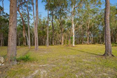 Residential Block For Sale - NSW - South Kempsey - 2440 - Where the Bush Meets the Sea – 10 Hectares Just 15 Minutes to Crescent Head  (Image 2)