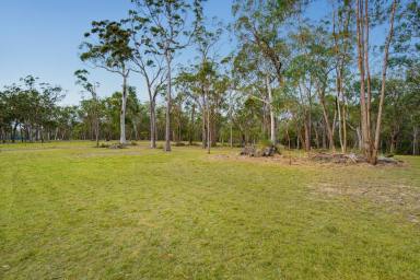 Residential Block For Sale - NSW - South Kempsey - 2440 - Where the Bush Meets the Sea – 10 Hectares Just 15 Minutes to Crescent Head  (Image 2)