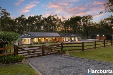Acreage/Semi-rural For Sale - NSW - Wallalong - 2320 - Growing Family Lifestyle – An Entertainer's Home  (Image 2)