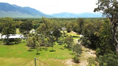 Residential Block For Sale - QLD - Ellerbeck - 4816 - Lifestyle Retreat in Mahogany Ridge Estate  (Image 2)