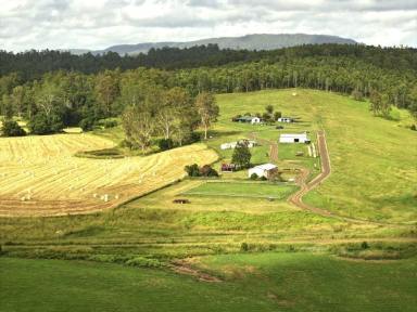 Livestock For Sale - NSW - Kyogle - 2474 - "KENTUCKY" – A Premier 412-Acre Cattle Holding in the Heart of Kyogle’s Hinterland.  (Image 2)