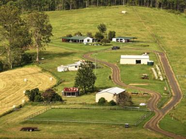 Livestock For Sale - NSW - Kyogle - 2474 - "KENTUCKY" – A Premier 412-Acre Cattle Holding in the Heart of Kyogle’s Hinterland.  (Image 2)