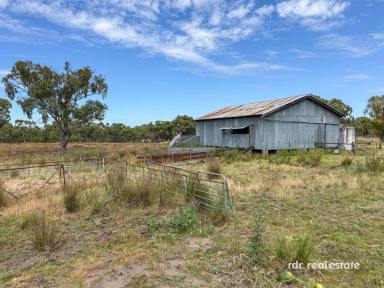 Mixed Farming For Sale - NSW - Inverell - 2360 - "WEST ROCK"  (Image 2)