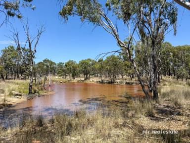 Mixed Farming For Sale - NSW - Inverell - 2360 - "WEST ROCK"  (Image 2)