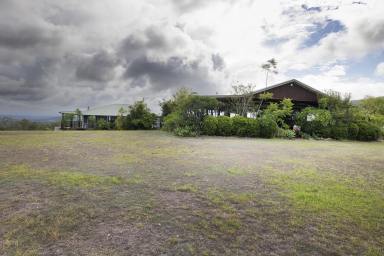 Lifestyle For Sale - NSW - Nabiac - 2312 - Unique Estate with Sweeping Rural & Coastal Views  (Image 2)