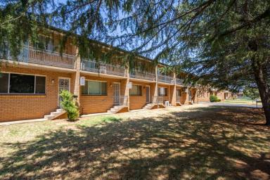 Unit For Sale - NSW - Cowra - 2794 - Great First Home / Investment Within a Popular Location!  (Image 2)