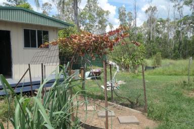 Studio For Sale - NSW - Rappville - 2469 - YOUR OWN PRIVATE IDAHO  (Image 2)