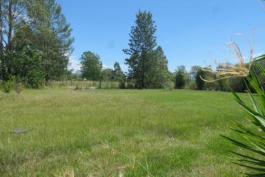 Studio For Sale - NSW - Rappville - 2469 - YOUR OWN PRIVATE IDAHO  (Image 2)