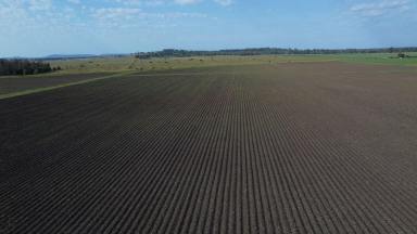 Mixed Farming For Sale - NSW - Codrington - 2471 - FARMING / LIFESTYLE OPPORTUNITY AWAITS  (Image 2)