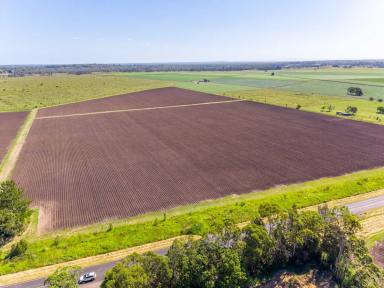 Mixed Farming For Sale - NSW - Codrington - 2471 - FARMING / LIFESTYLE OPPORTUNITY AWAITS  (Image 2)