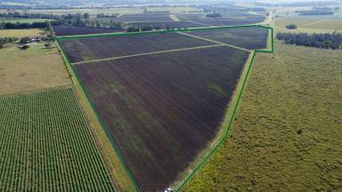 Mixed Farming For Sale - NSW - Codrington - 2471 - FARMING / LIFESTYLE OPPORTUNITY AWAITS  (Image 2)