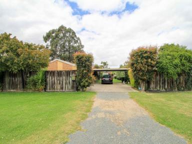House Sold - VIC - Bairnsdale - 3875 - SOLID BRICK INVESTMENT WITH TENANT SECURITY  (Image 2)