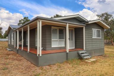House For Sale - NSW - Wattamondara - 2794 - Lovely family home on large 1626m2 block!  (Image 2)