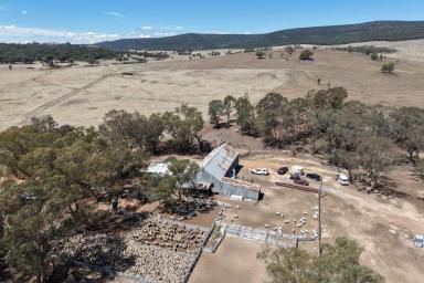 Mixed Farming For Sale - NSW - Grenfell - 2810 - FOR LEASE - 2,668.9 AC* OF PRIME ARABLE LAND & GRAZING COUNTRY!  (Image 2)