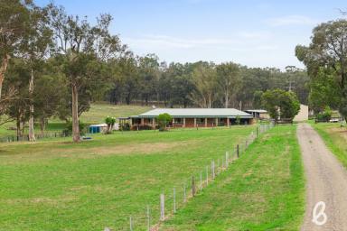 Other (Rural) For Sale - NSW - Singleton - 2330 - "Angasslea" – Lifestyle, Space and Rural Charm  (Image 2)
