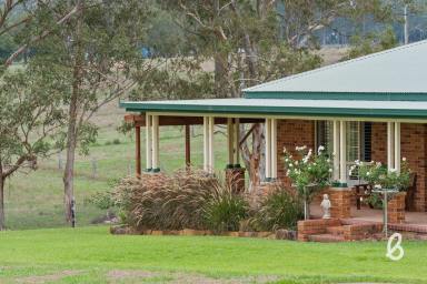 Other (Rural) Sold - NSW - Singleton - 2330 - "Angasslea" – Lifestyle, Space and Rural Charm  (Image 2)