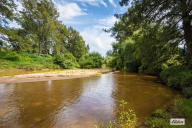 Acreage/Semi-rural For Sale - NSW - Bega - 2550 - Your Own Private River Retreat - Just Minutes from Everything  (Image 2)