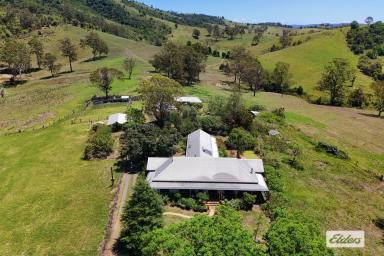 Livestock For Sale - NSW - Wang Wauk - 2423 - Run Cattle By The Coast - Income Meets Lifestyle  (Image 2)