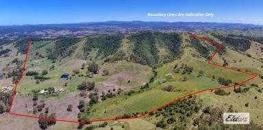 Livestock For Sale - NSW - Wang Wauk - 2423 - Run Cattle By The Coast - Income Meets Lifestyle  (Image 2)